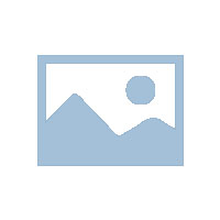 严伟龙-振兴乡村经济-发展蒸谷米产业集群（三）